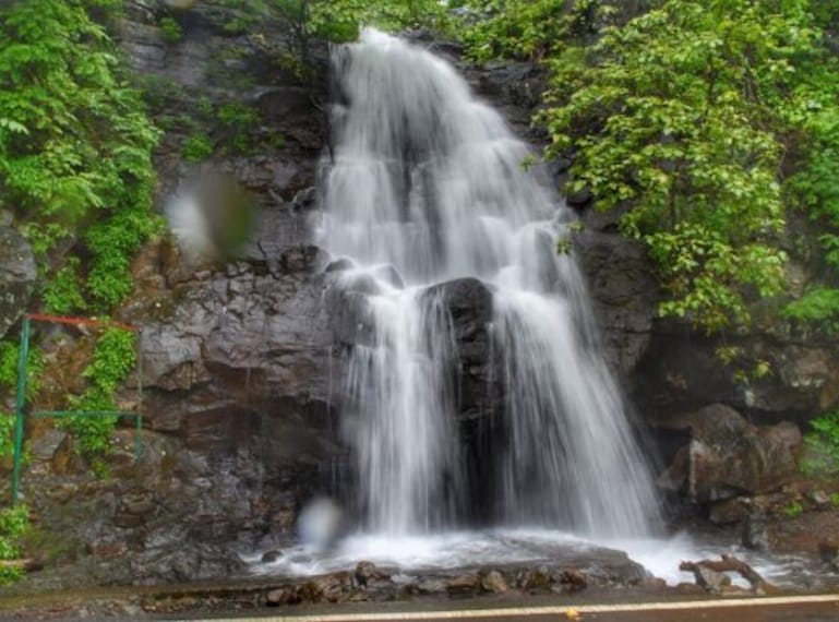 Purna Wildlife Sanctuary-5